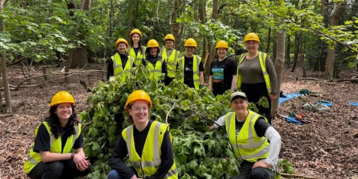 Women* Conservation Volunteering Days: Building Leaky Dams, Epping Forest