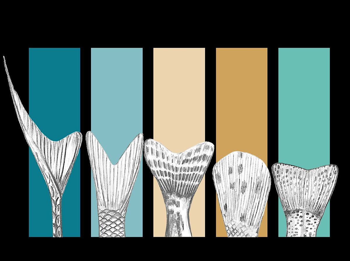 2026  Montana AFS Meeting, 10 February | Event in Anaconda | AllEvents
