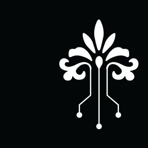 Beats Antique in Bellingham