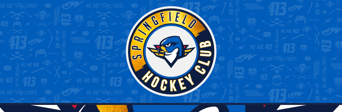 Bridgeport Islanders at Springfield Thunderbirds at MassMutual Center, 7 November | Event in Springfield | AllEvents
