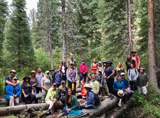 Edible Medicinal Plants Of The Northern Rockies Herb Walk Spokane Washington July 24 2022 Allevents In Events In Spokane Summer 2022