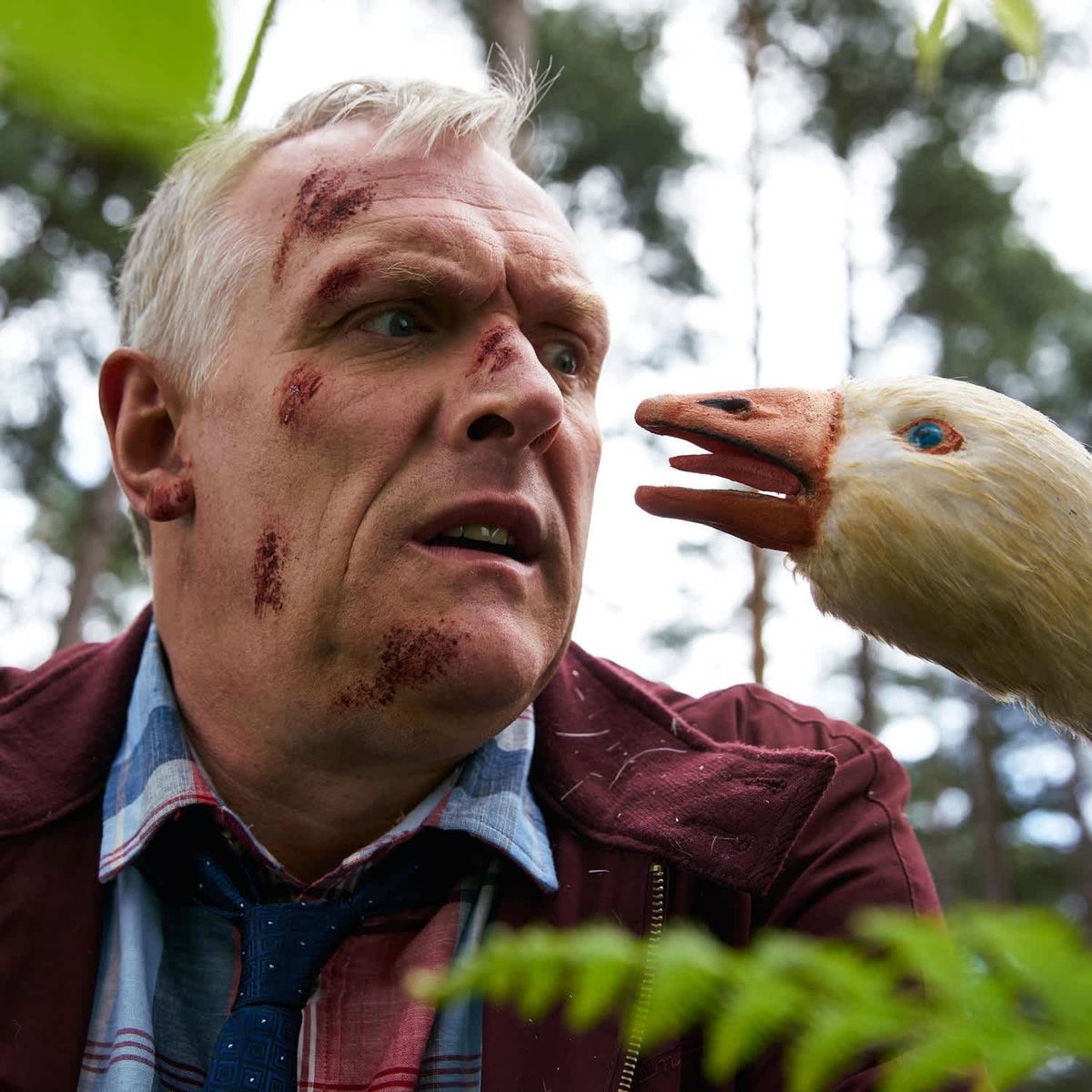 Greg Davies Nottingham Tickets, 17 March | Event in Nottingham | AllEvents