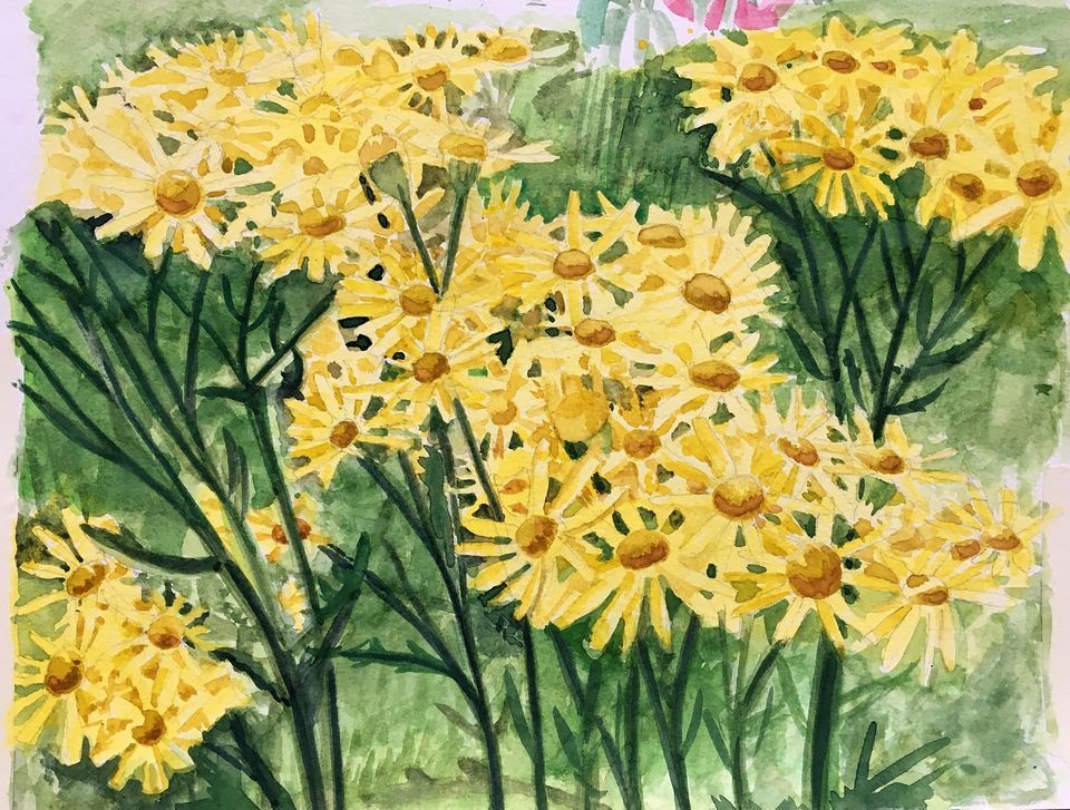 Drawing and Painting Classes in Holmfirth Wednesday afternoon., Jamie