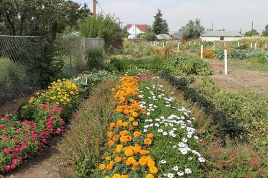 Build Your Sustainable Garden Ecosystem An Event By Regenerate Wheat Ridge Happiness Gardens Wheat Ridge September 15 2021 Allevents In Wheat Ridge Herb Festival 2022
