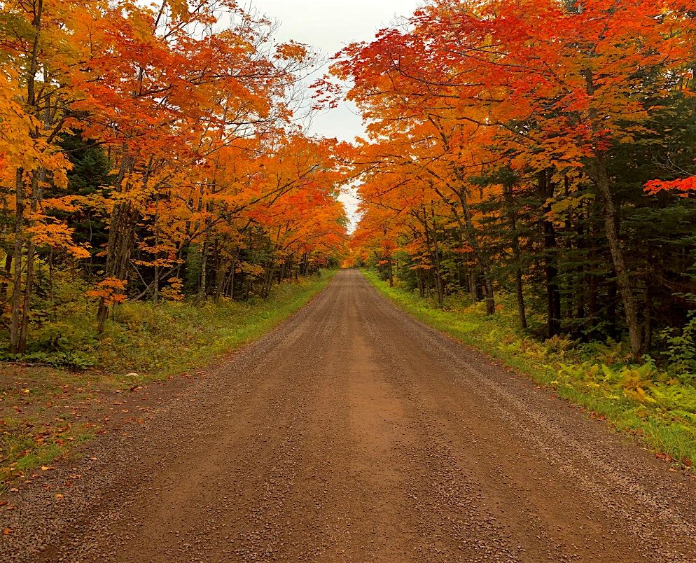 Fall Color Kayak (Morning) | Event in Tofte | AllEvents