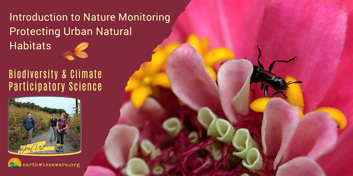 Introduction to Nature Monitoring in the City, 12 September | Event in Somerville | AllEvents