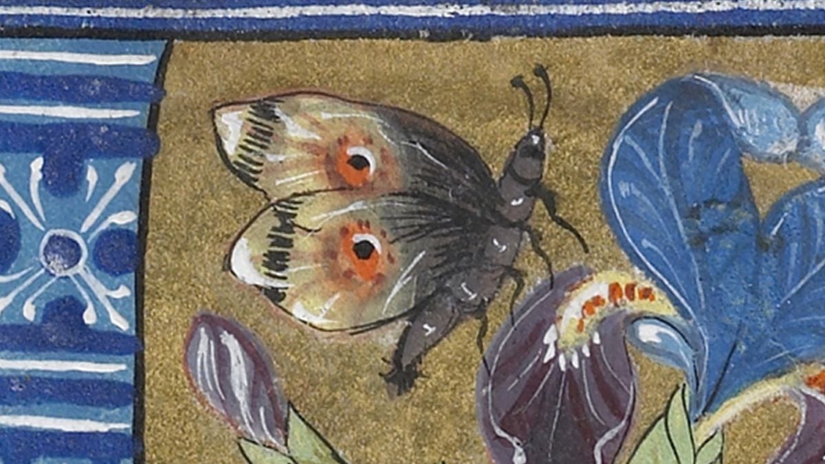 The Walters, 30 October | Event in Chicago | AllEvents
