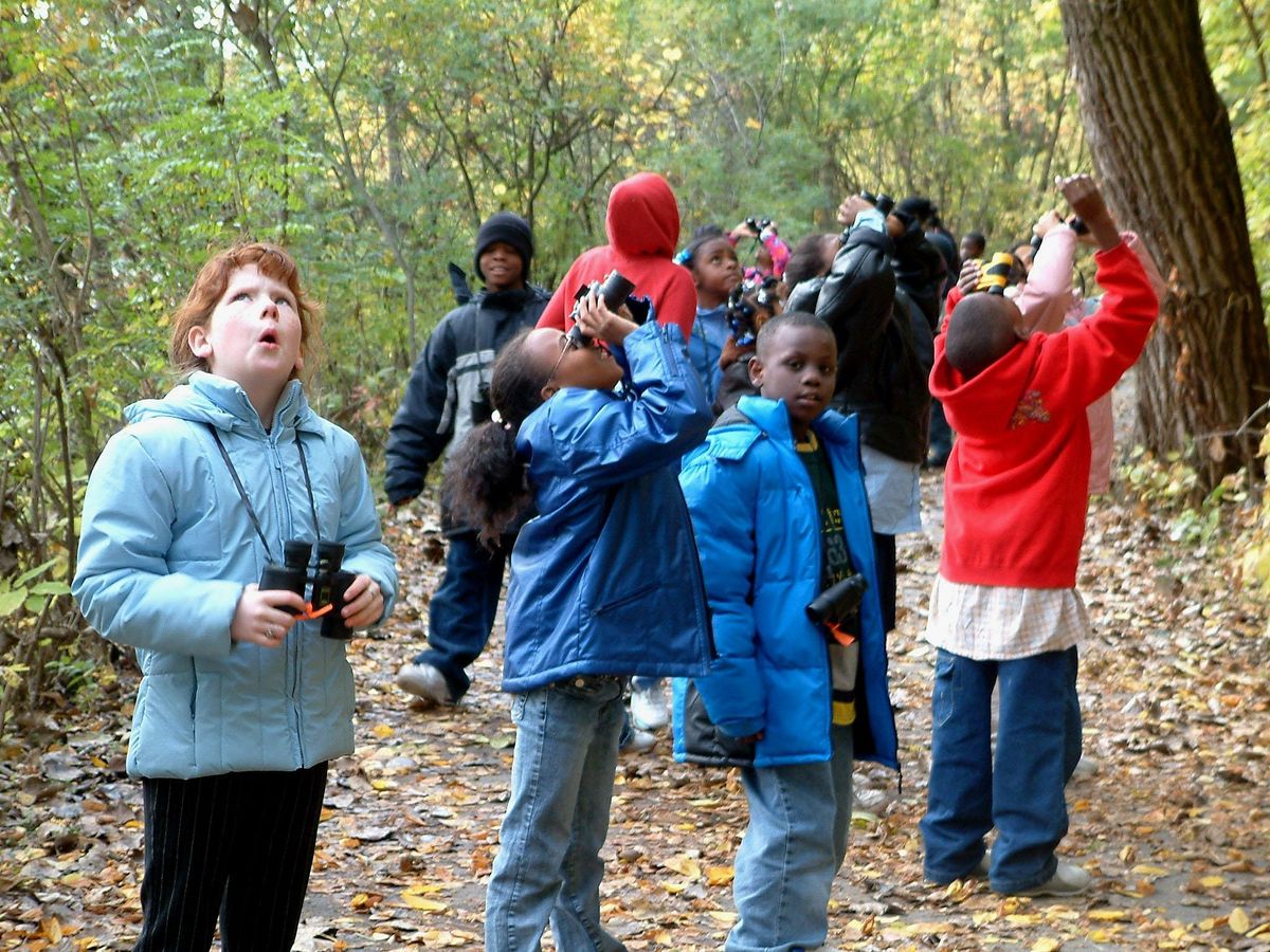 Scouts BSA Bird Study Merit Badge, Grange Insurance