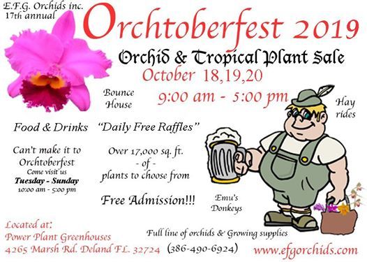Orchtoberfest 2019 Efg Orchids Deland 18 October To 20 October