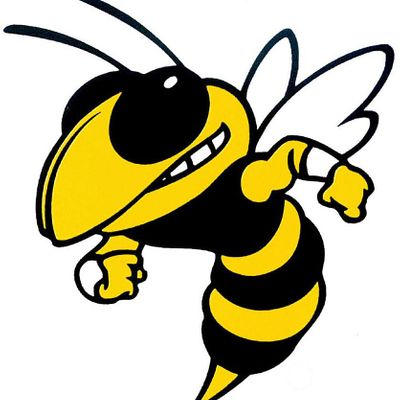SSA Lady Hornets