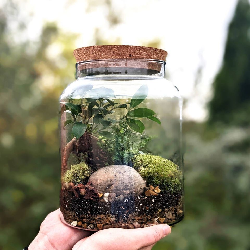 Botox and Terrariums, 1418 North Sylvania Ave, Fort Worth, TX, March 24