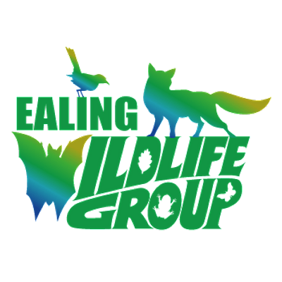 Ealing Wildlife Group logo