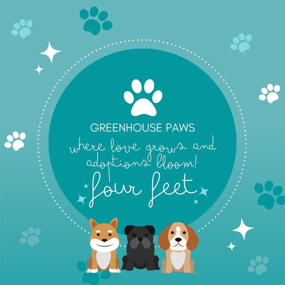 Greenhouse Paws 210 W 21st St Kearney NE 9 December 2023 Greenhouse Paws 210 W 21st St Kearney NE 9 December 2023
