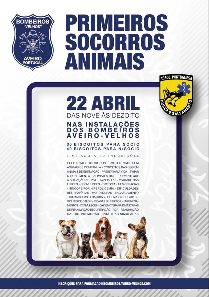 CURSO PRIMEIROS SOCORROS ANIMAIS - CB AVEIRO-VELHOS, 22 April | Event in Aveiro | AllEvents.in
