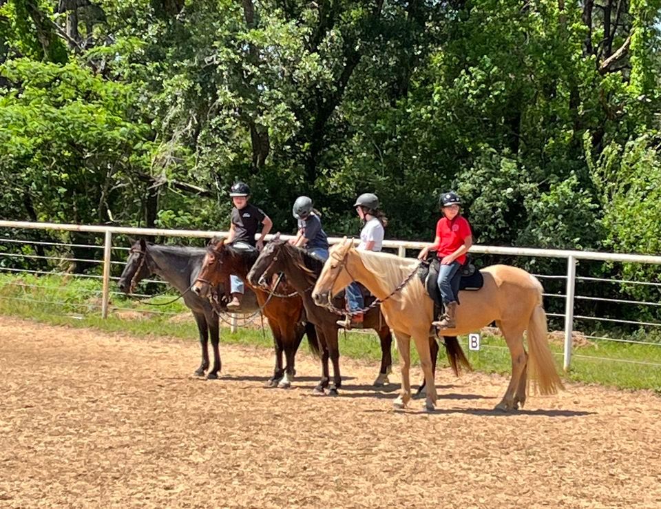 Horse Summer Camp, 41333 CR39, Bay AL, United States, Alabama