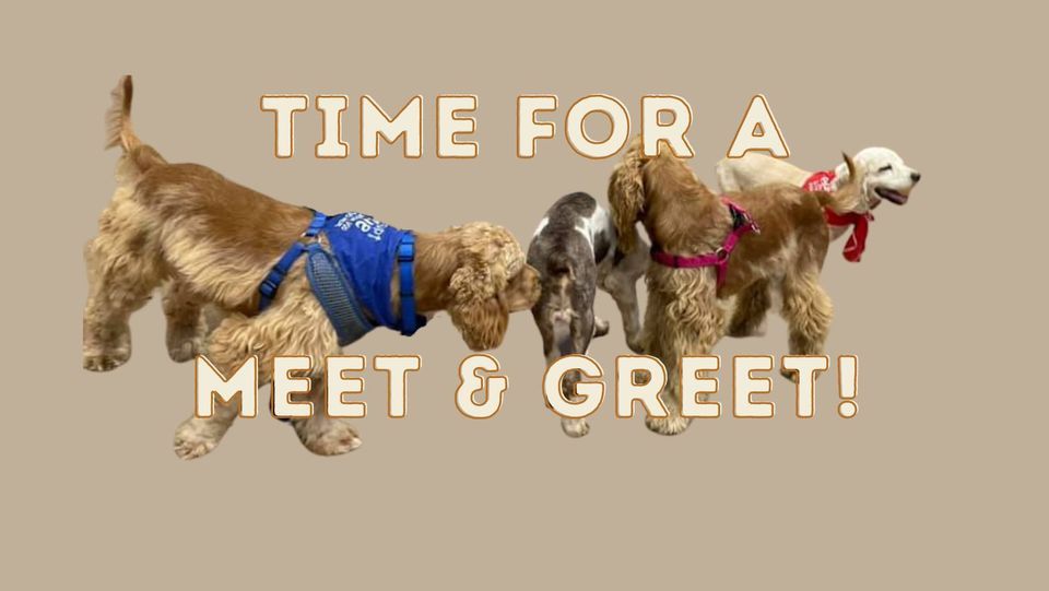 Meet and GreetRound Rock, Petco (Round Rock), January 14 2024