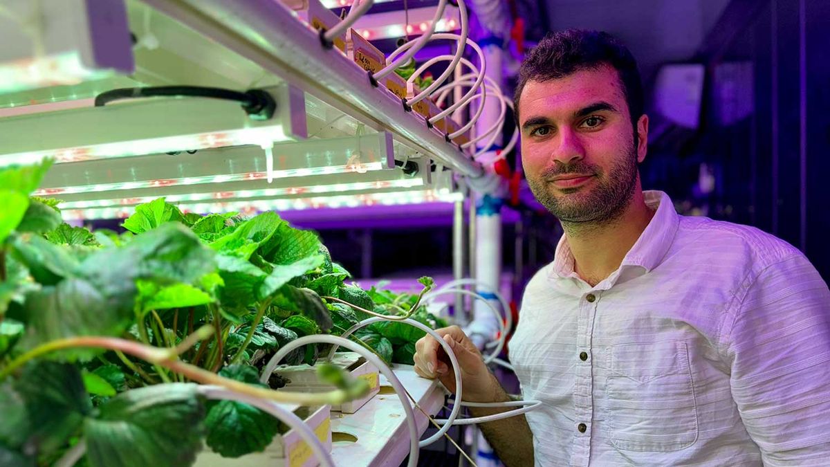 Moein, 15 February | Event in Toronto | AllEvents