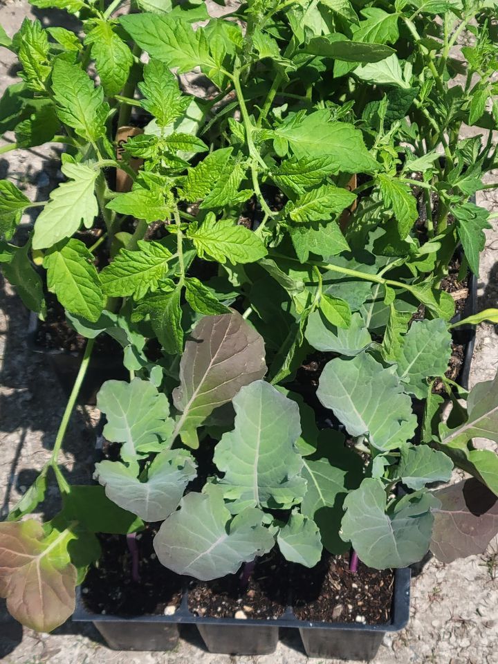 Hampden Farmers Market, Citizens of Maine, Hampden, January 19 2024 AllEvents.in