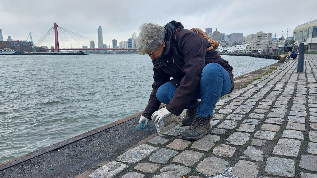 Plandeldag De Maasoevers Erasmusbrug Rotterdam 19 September 2026 