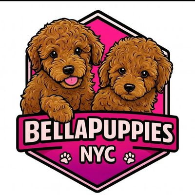 Bellapuppies logo