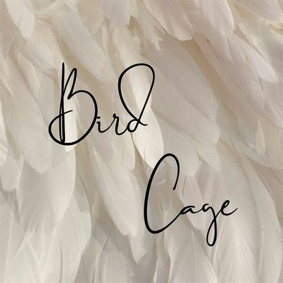 Bird Cage Events logo