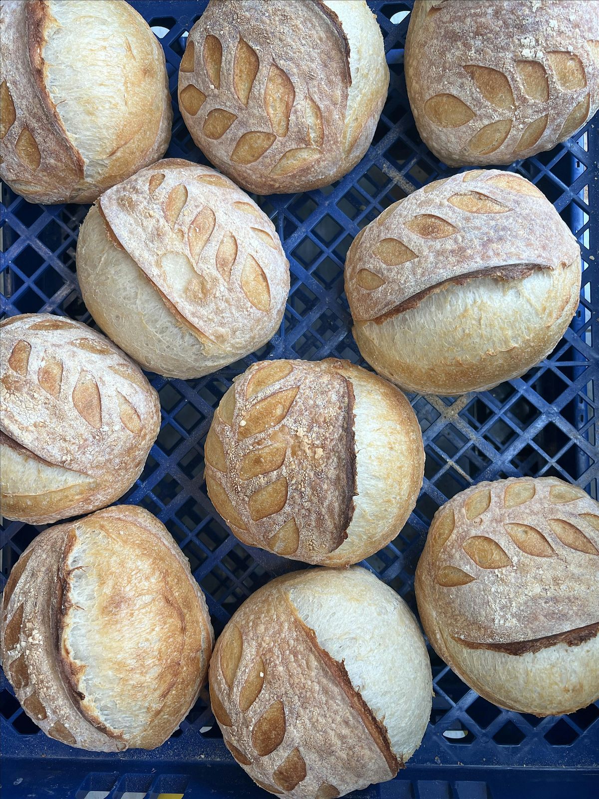 Sourdough Bread Making: The Basics, 17 January | Event in Waukesha | AllEvents