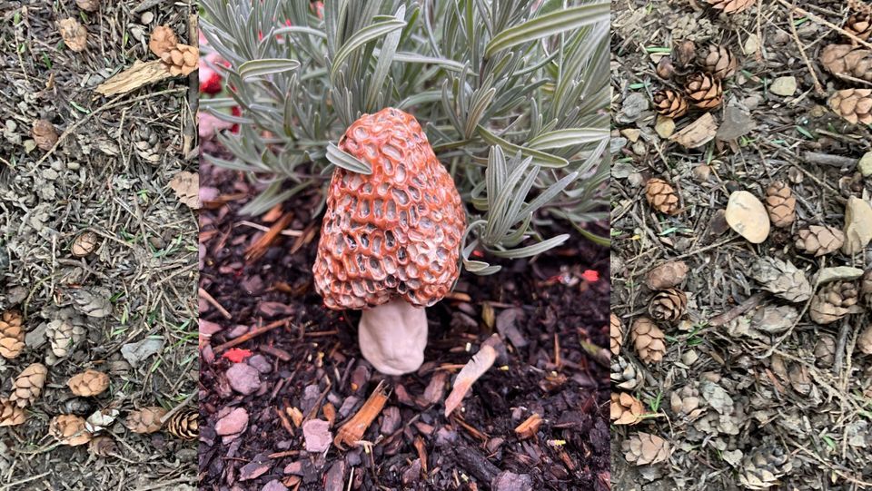 Morrel clay hand building class ember arts weston march 3 2024