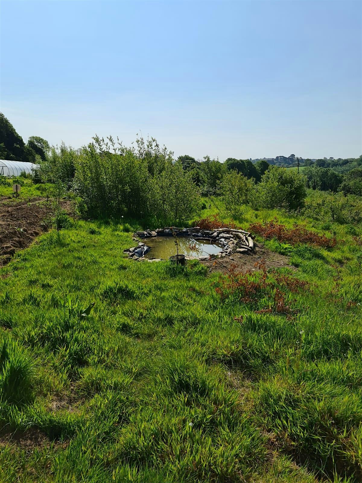 Soil Workshop at Loveland, 3 December | Event in Penryn | AllEvents