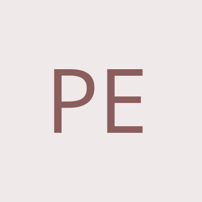 Presentation Excellence logo