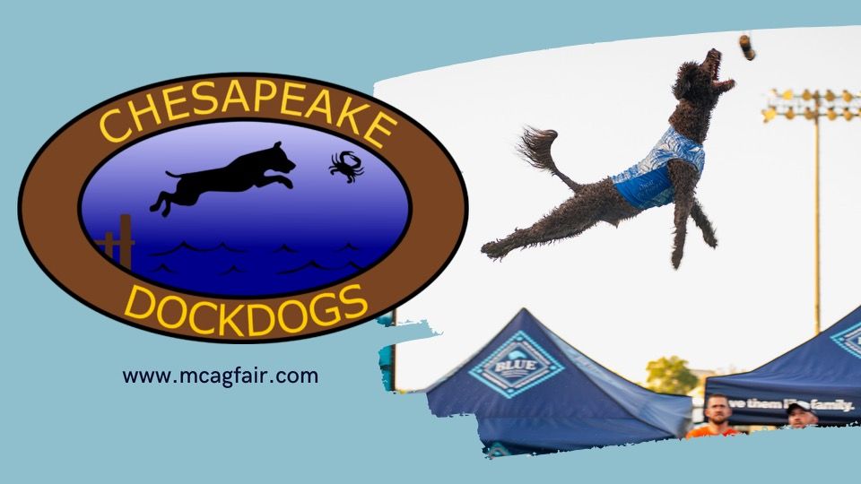Chesapeake DockDogs Saturday, Montgomery County Ag Fair, MD