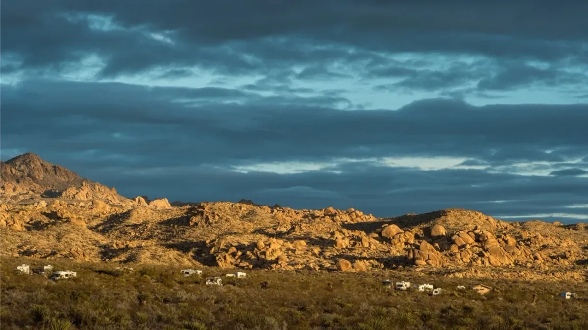 Friday/Saturday Night Campout in Joshua Tree National Park, 28 November | Event in Joshua Tree National Park