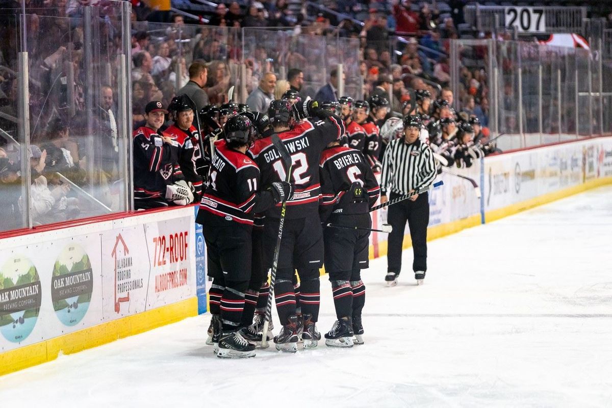 Parking Birmingham Bulls at Roanoke Rail Yard Dawgs, 21 December | Event in Roanoke | AllEvents