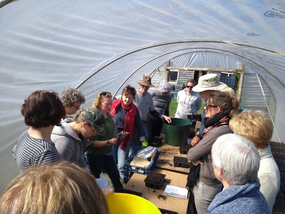 Grow Your Own The Real Food Garden, Bodmin, September 24 2023