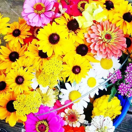 13th Annual Wheat Ridge Olde Thyme Herb Fair Farm Festival 817 Tater Ridge Rd West Union Oh 45693 9727 United States October 8 To October 10 Allevents In Wheat Ridge Herb Festival 2022