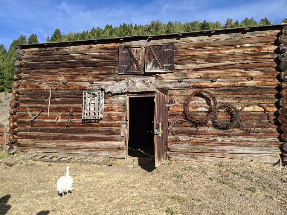 Roaring 20s Mystery Gunslinger Gulch, Gunslinger Gulch, Anaconda