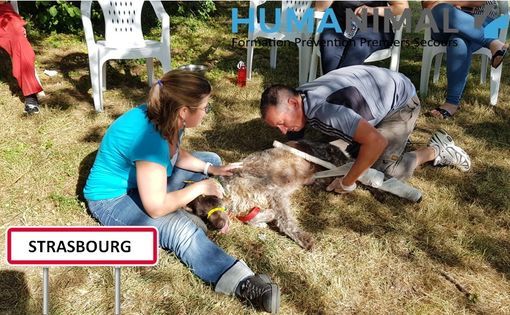 Events In Strasbourg In May 21