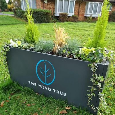 The Mind Tree Cafe cic