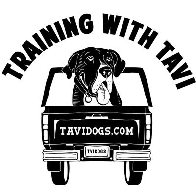 Training with Tavi logo