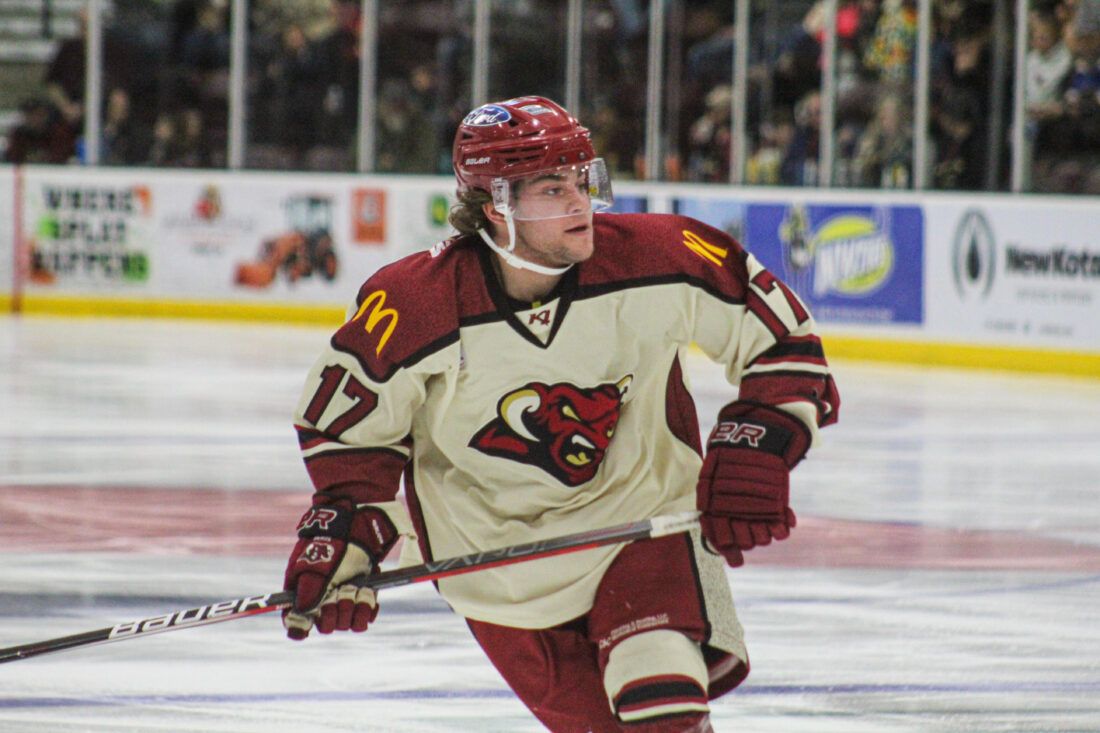 Minot Minotauros at North Iowa Bulls, 18 January | Event in Mason City | AllEvents