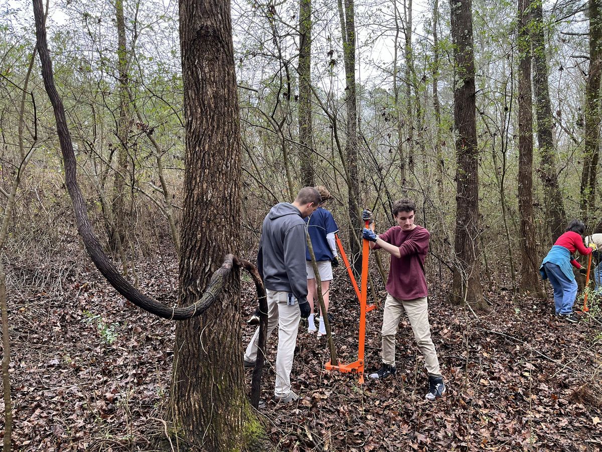 Privet Pull, 17 January | Event in Mableton | AllEvents