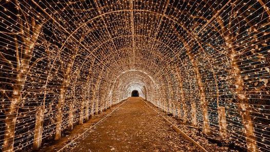 Nyc Winter Lantern Festival New York New York January 1 2022 Allevents In Baltimore Lantern Festival 2022