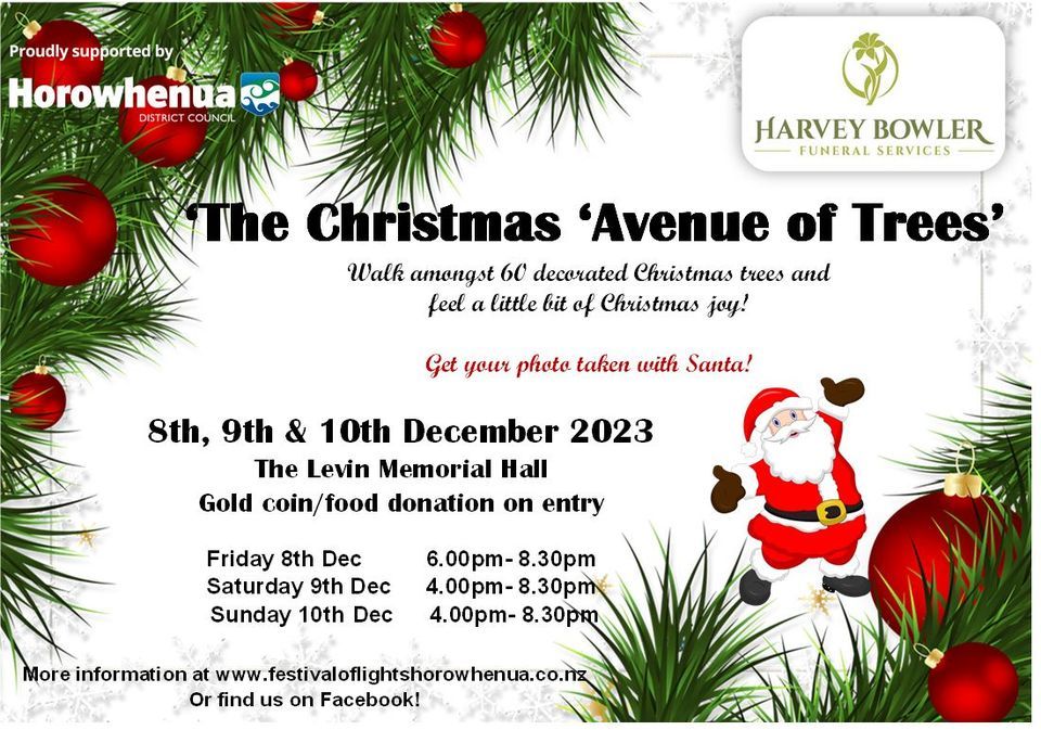 Christmas Avenue of Trees 2023, Levin Memorial Hall, Palmerston North