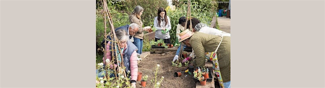 Wild about Brain Health – tree ID