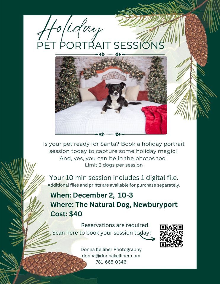 Holiday Pet Portraits Newburyport, The Natural Dog (Located near the