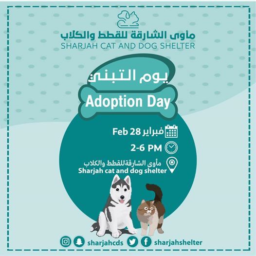 Adoption Day At Sharjah Shelter Sharjah