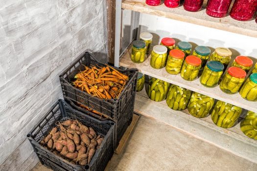 Winter Food Storage: Root Cellars, Basements + at Bushelcraft Farm, Elkhart storing root vegetables in basement