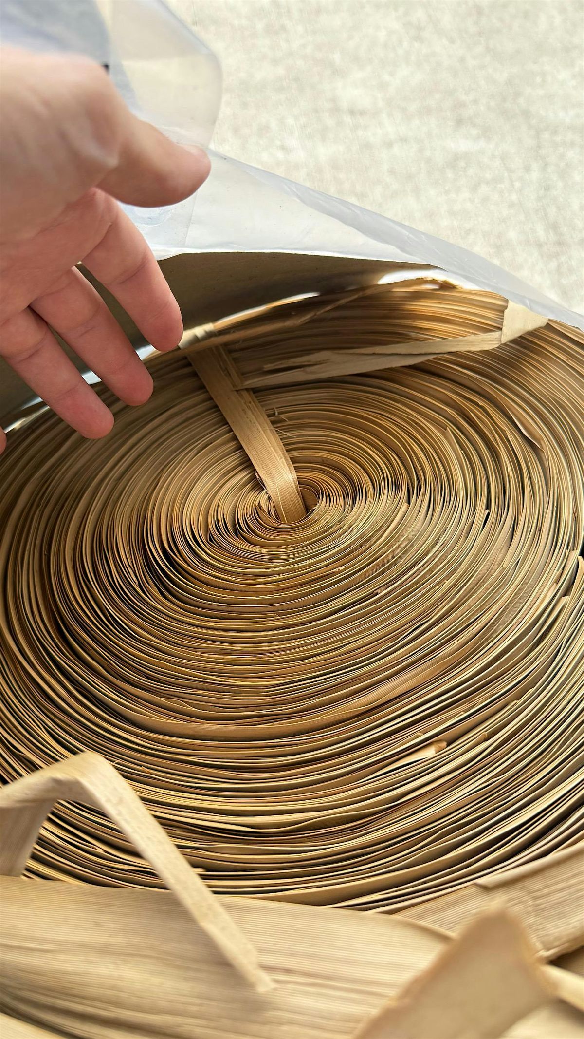 Ho‘ākea Source Info Session, 22 November | Event in Hilo | AllEvents