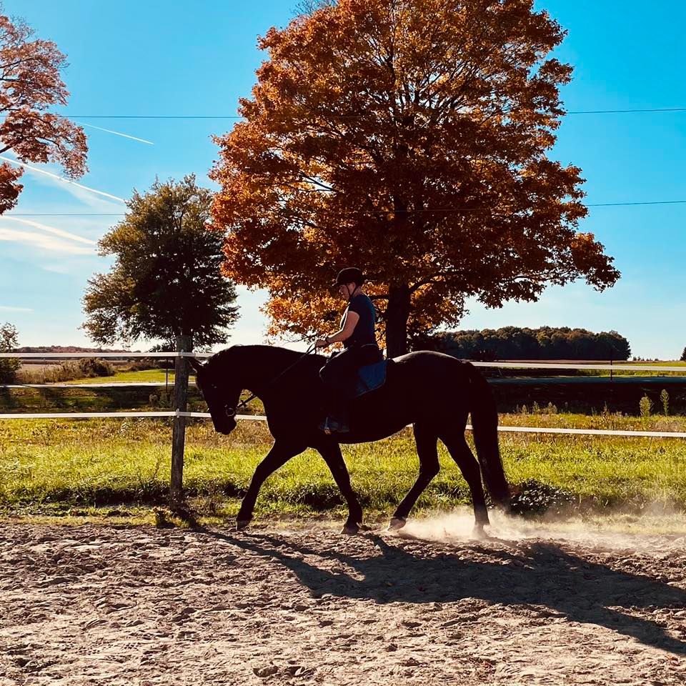 DeWolff Vaulting & Riding Clinic, Hopes & Dreams Stables, Tillsonburg