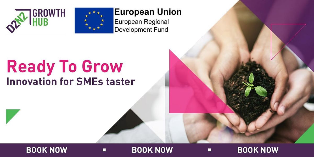 Ready to Grow - Innovation for SMEs Taster Session