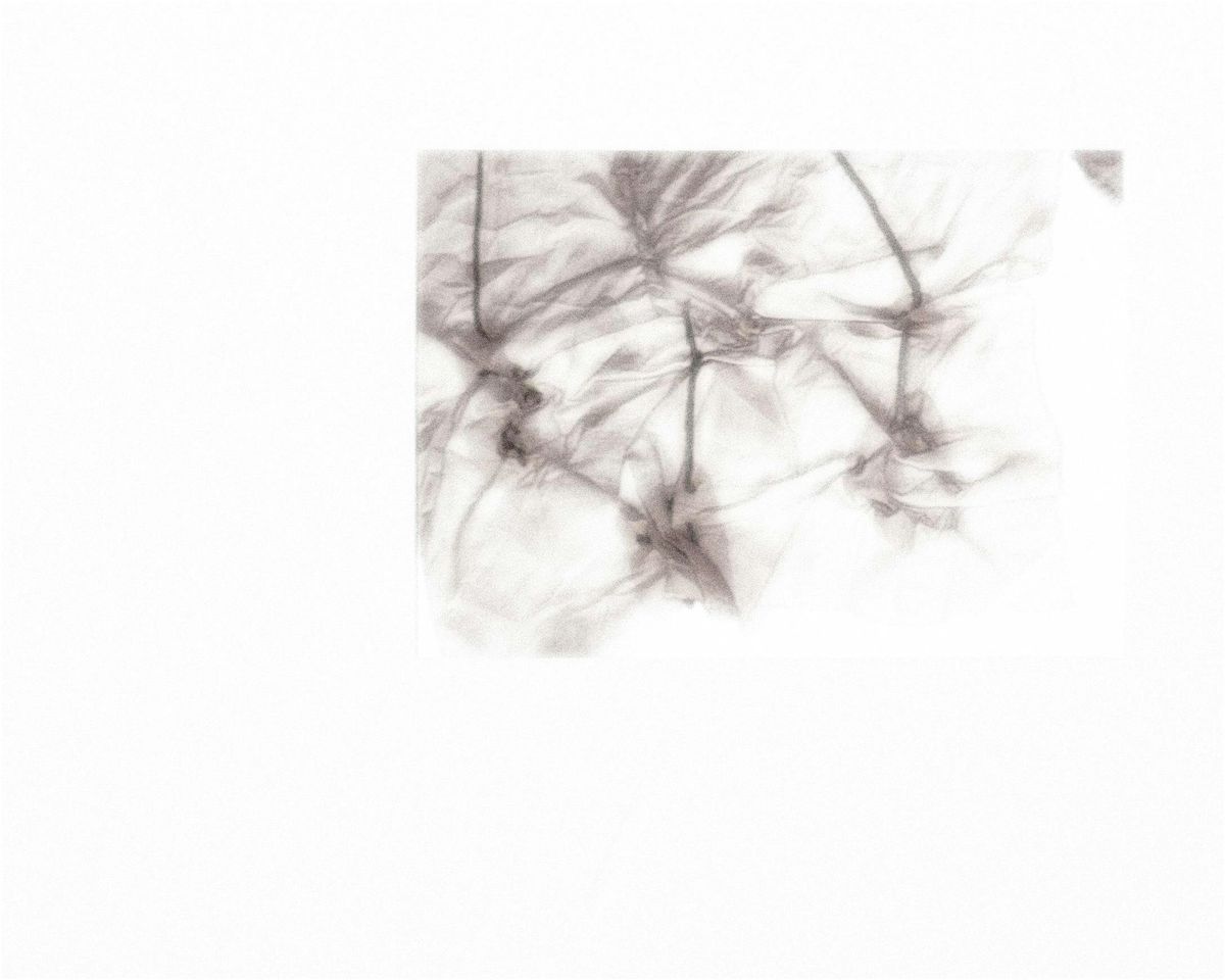 TTELL' s pop-up + Materia_____Residua workshop, 6 December | Event in Modena | AllEvents